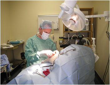 surgery_pic